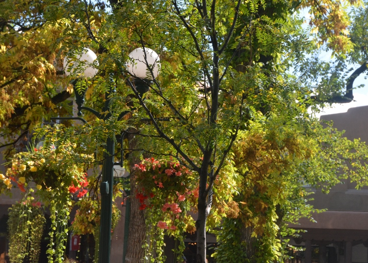 Santa Fe plaza